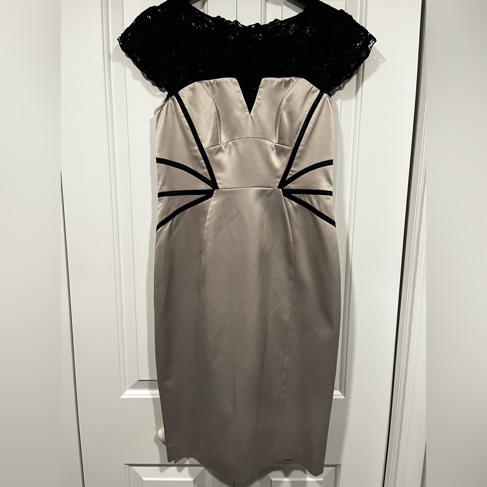 Silver Black Detail Karen Millen Dress